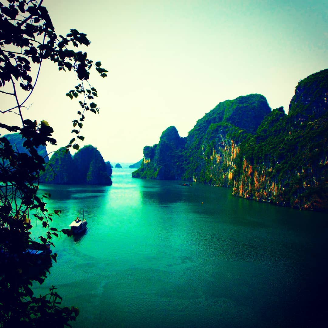 RaeRaeNelly's tweet photo. Paradise is here! Halong Bay, Vietnam. Photo: @manuelamicaelophoto
#manuelamicaelophoto #halongbay #neverstopexploring #vietnam #vietnamtravel #earthfocus #adventure #paradise #passionpassport #nationalgeography #travelphotography #earthfocus https://t.co/5rOobr8BOc