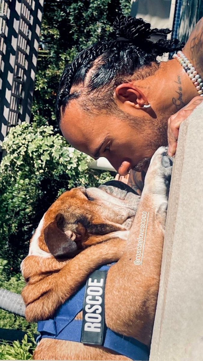 blckpnthrmltn's tweet photo. one year without roscoe 💔 https://t.co/wjnMBYmDe6