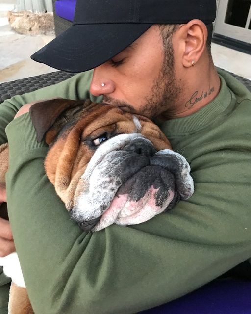 blckpnthrmltn's tweet photo. one year without roscoe 💔 https://t.co/wjnMBYmDe6