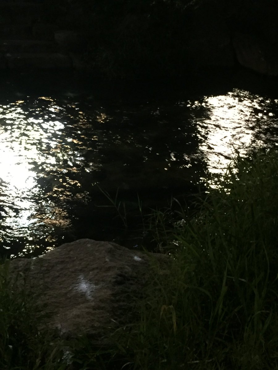 my_wzd's tweet photo. 2시간 기다려서 파작 먹었어요
기다리는동안 산책으로 와인사고 네컷도 찍었어요
맛있긴합니다
하지만 두시간…? 전 오늘 경험했으니 끝 https://t.co/SPgApWAGb1