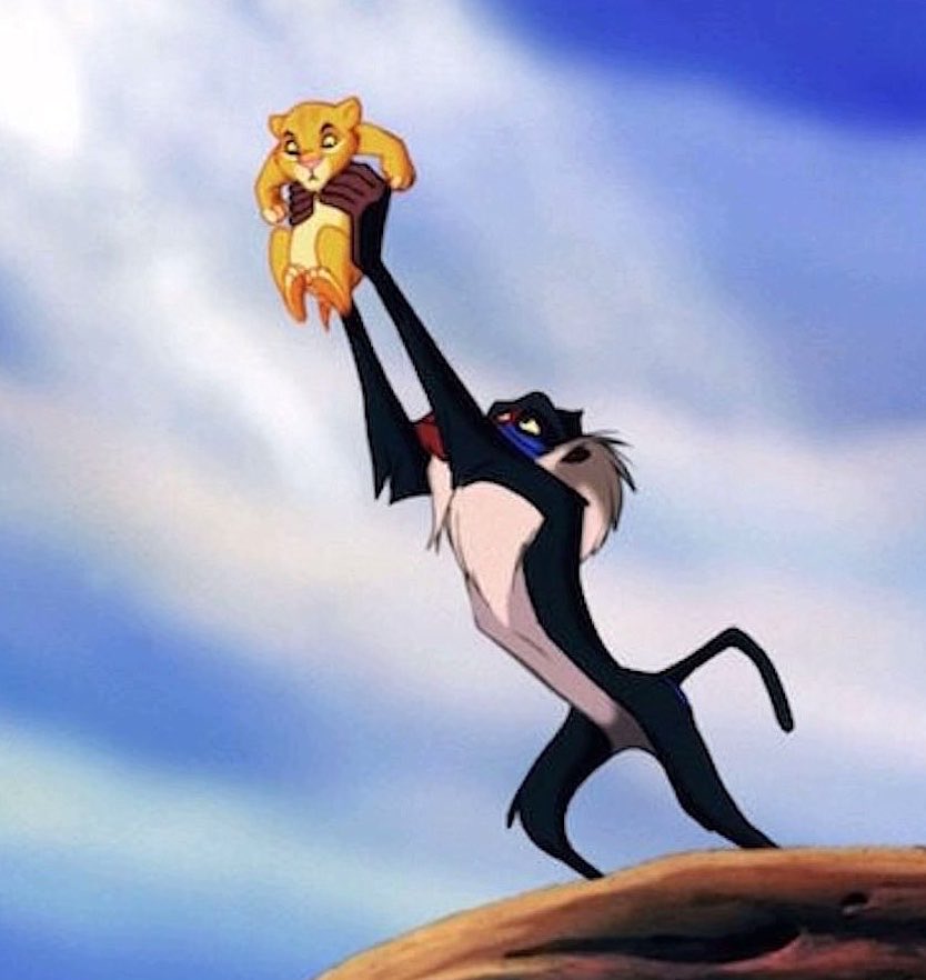 sunxlrh's tweet photo. same energy https://t.co/3jV6PNujGt