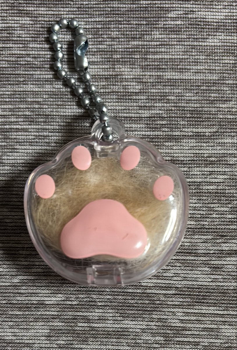 to11260206's tweet photo. うちの猫ちゃんの足裏に似せたいのだけど
胸の辺りも足先の白い毛が中々とれない　その辺りは　あまり触られるの好きじゃないみたい https://t.co/BNaRTMxX4R