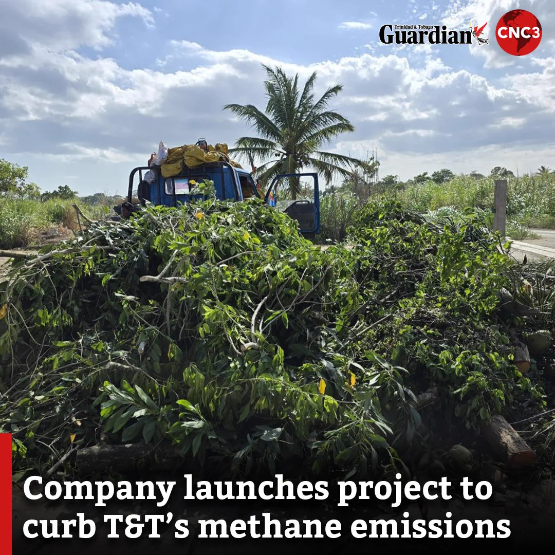 CNC3TV в X: „Almost half of the waste entering Trinidad and