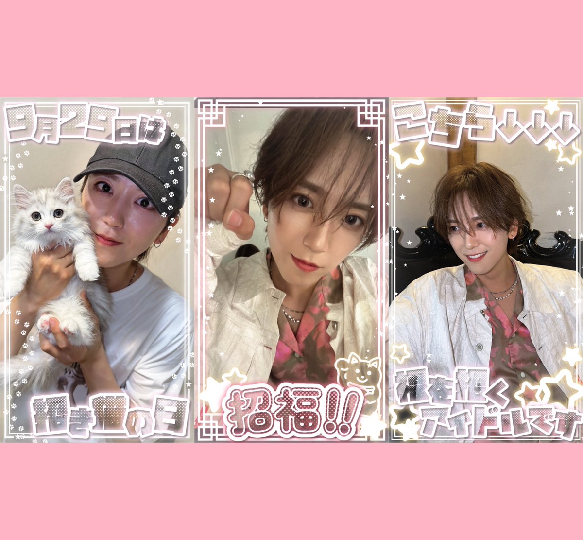 plz_mellow's tweet photo. インスタストーリー用フレーム✩.*˚

🐱9月29日は招き猫の日
❤️招福!!
🌟こちら 福を招くアイドルです

9(来る)29(福)で招き猫の日^.  ̫ .^ฅ゛
福を呼び込む推しの笑顔にჱ̒՞ ̳ᴗ ̫ ᴗ ̳՞꒱

ご使用時💟🔁貰えると嬉しいです՞ඉ  ̫ඉ՞

9:16 / SNS / エフェクト / フィルター / フレーム / 背景透過 / スタンプ / 文字 / 素材 / アイドル / リリイベ / 現場 / ライブ / まとめ / チェキ / 撮可