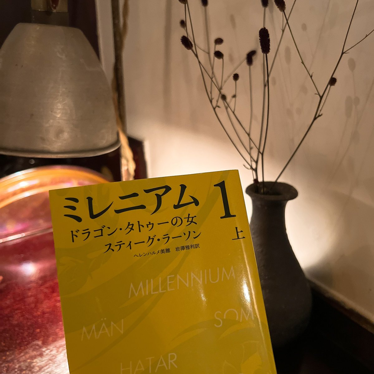 mgmg0828's tweet photo. #読了　
ミレニアム1  
ドラゴンタトゥーの女　上巻
/スティーグ・ラーソン https://t.co/aDptFjWSnD