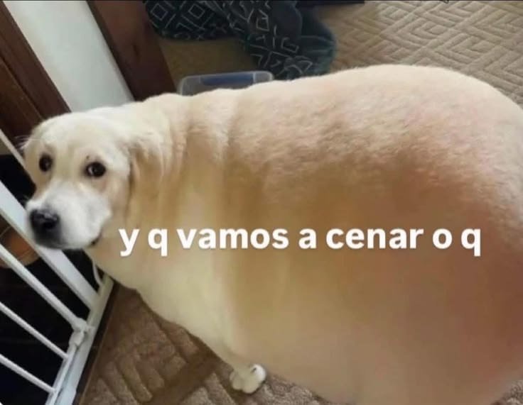 nahiara0h's tweet photo. Yo despues de tragarme toda la comida de mi casa https://t.co/9xmE1XcwVe