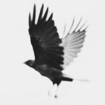 Photo by Govinda Rumi (@govoes)