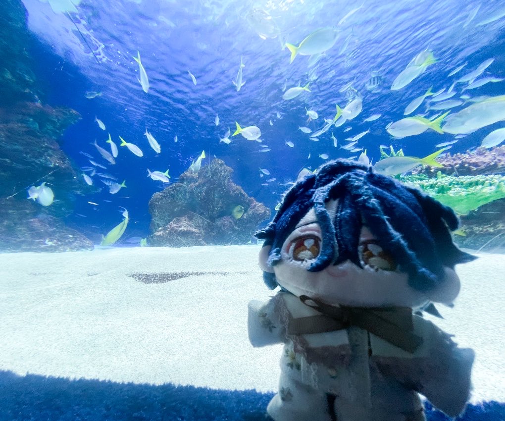 cccts_bi's tweet photo. 海の中ってきっとこんな感じだね〜🌊🐟 https://t.co/JlUKxr7q7l