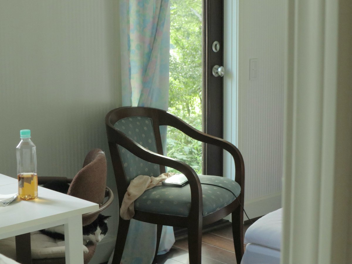 gardeniavibe's tweet photo. https://t.co/o6TaMu4BzP