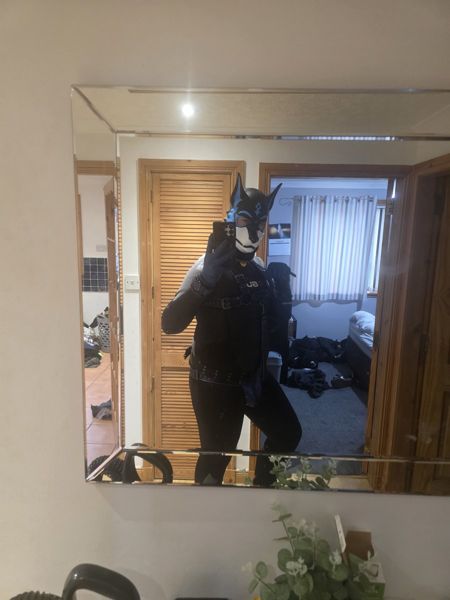 Shirouwolf27's tweet photo. Feeling a little wild tonight 🐺💙

Don’t worry, I don't bite.
...probably...... 🐺

Hood by: @Pupjoi
Harness, Collar and jock by: @furrjoi01 https://t.co/9DXzfwPzIj