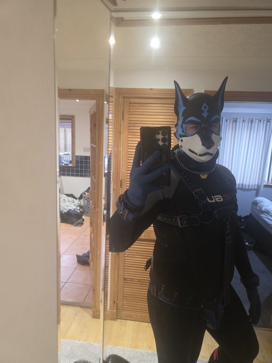 Shirouwolf27's tweet photo. Feeling a little wild tonight 🐺💙

Don’t worry, I don't bite.
...probably...... 🐺

Hood by: @Pupjoi
Harness, Collar and jock by: @furrjoi01 https://t.co/9DXzfwPzIj