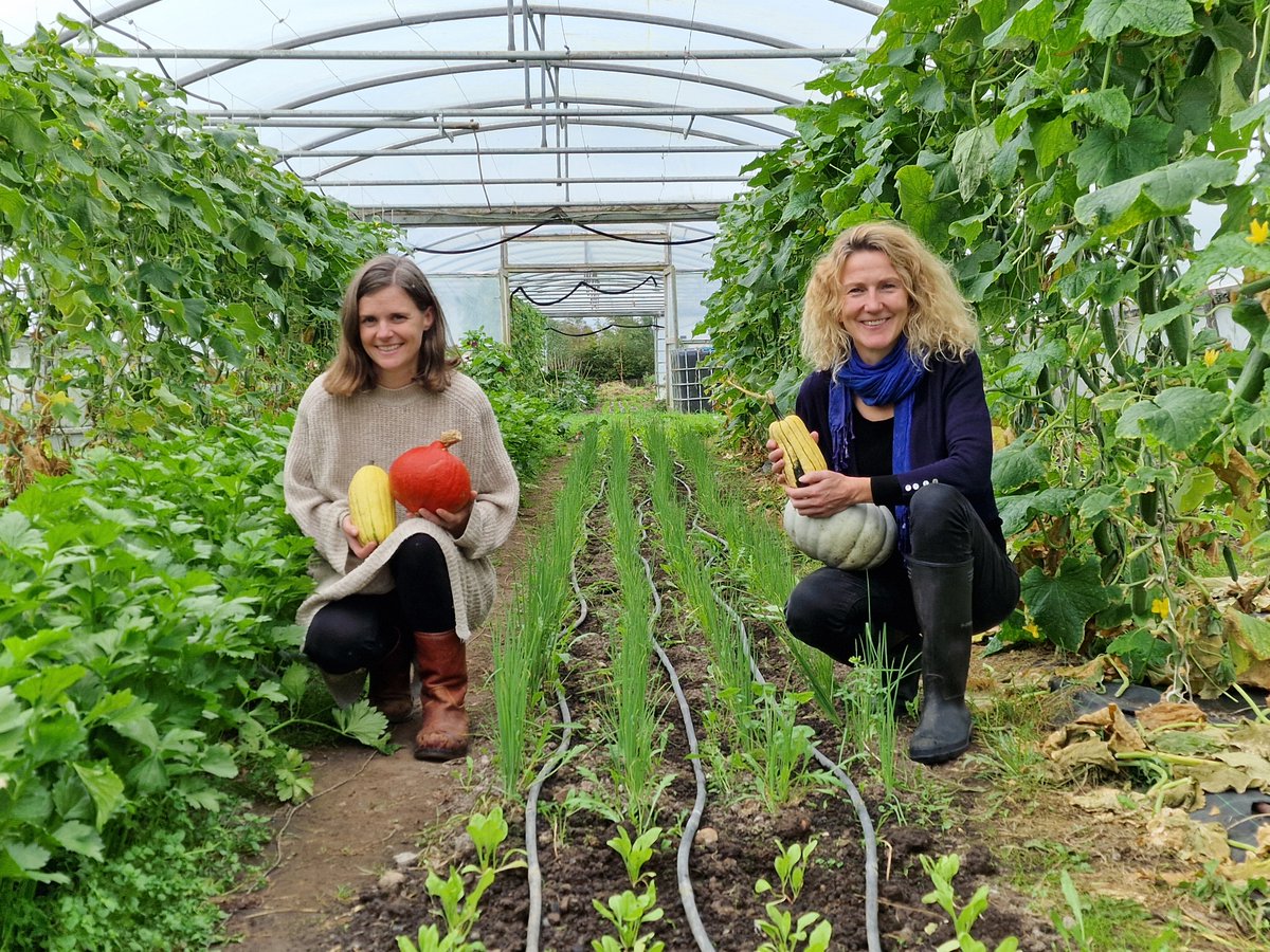capnetworkire's tweet photo. The European Organic Congress 2026, organised by @OrganicsEurope, will be hosted by @agriculture_ie  in Cork from 6-8 October.

This years theme is 'Organics: A Strategic Investment in Europe’s Resilience'.

Learn more: https://t.co/kULporbj3Q

#EOC2026 #capnetworkireland https://t.co/RIsNweKh8Q
