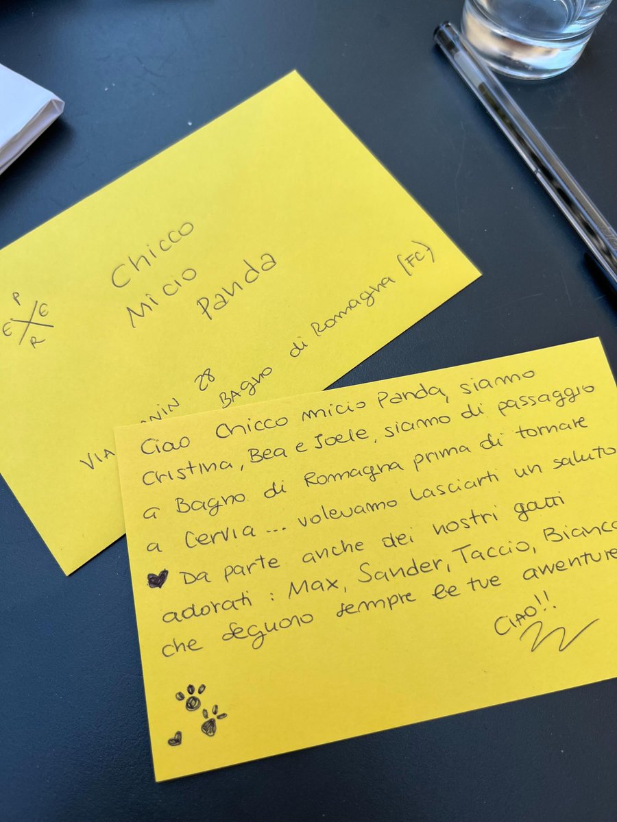 benjaminanjxlb's tweet photo. Mission accomplished! To delight our beloved big cats, we were asked to write a letter to their idol, Chicco Micio Panda from Bagno di Romagna! We now know it was read, and we’re sending a big hug to his little brother Nuvola too! https://t.co/ZOC633OL1I
