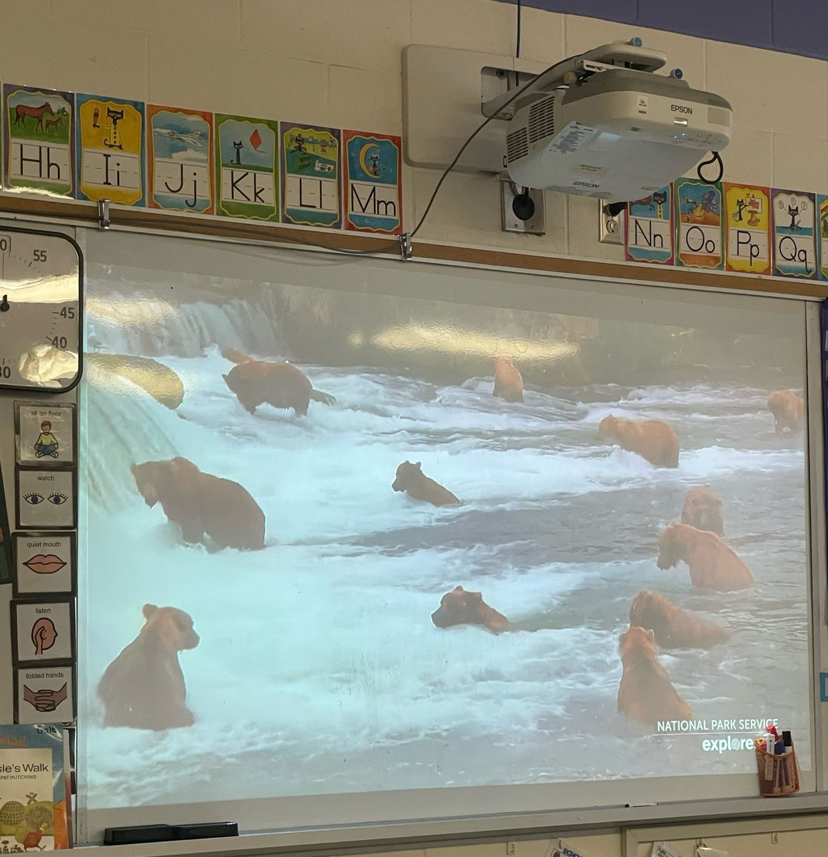 EAparratt's tweet photo. Fat Bear Week has officially made its way into our classroom! 🐻🤎 We’ve been learning about the bears, watching them in action, and even creating our own bear artwork.
A little curiosity can turn into a whole lot of learning. 🐻✨
#FatBearWeek #ClassroomLearning #EDUC25738 https://t.co/Ms0yHMGkro