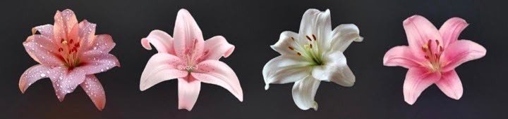 SagarS40407's tweet photo. #เทสแอค https://t.co/kHF6r0jYN3