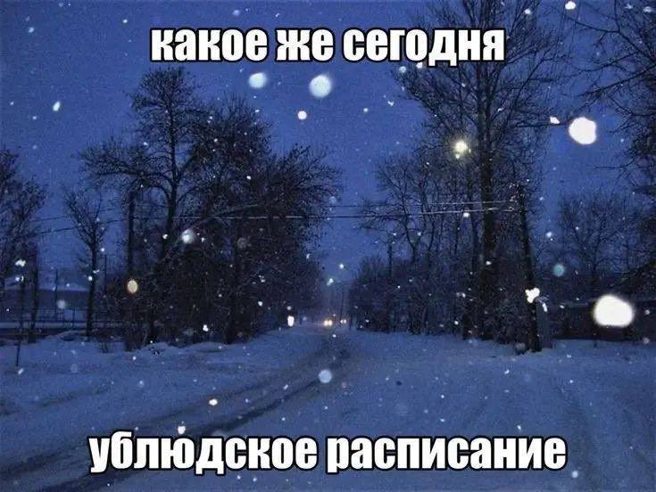 Wi__dishks's tweet photo. Порой кажется что люди, составляющие расписание в учебных заведениях, сидят на сильнейших котиках. Иначе я не могу объяснить, как они умудряются так составлять расписание, чтобы их проклинали все студенты https://t.co/MIbDim8PGe