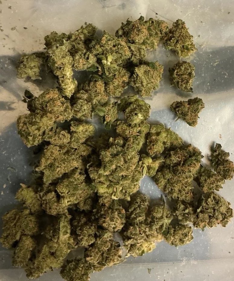 MaconhanoX's tweet photo. Cardápio📋👇
https://t.co/SnBZvJrLu4

PRENSADO
CAPULHO
GOLD
SKANK
COGUMELOS
DRY
HAX
ICE
COMPRA MACONHA 
MACONHA EM CURITIBA 
À VENDA

#delivery #riodejaneiro #maconha #skank #SãoGonçalo #colombiagold #DuquedeCaxias #NovaIguaçu #cremas #ice #fullmelt #cremas #crumble #flor https://t.co/vvGOVIIh5S