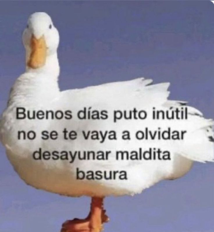 eldiariodedross's tweet photo. https://t.co/MTarDnkI39