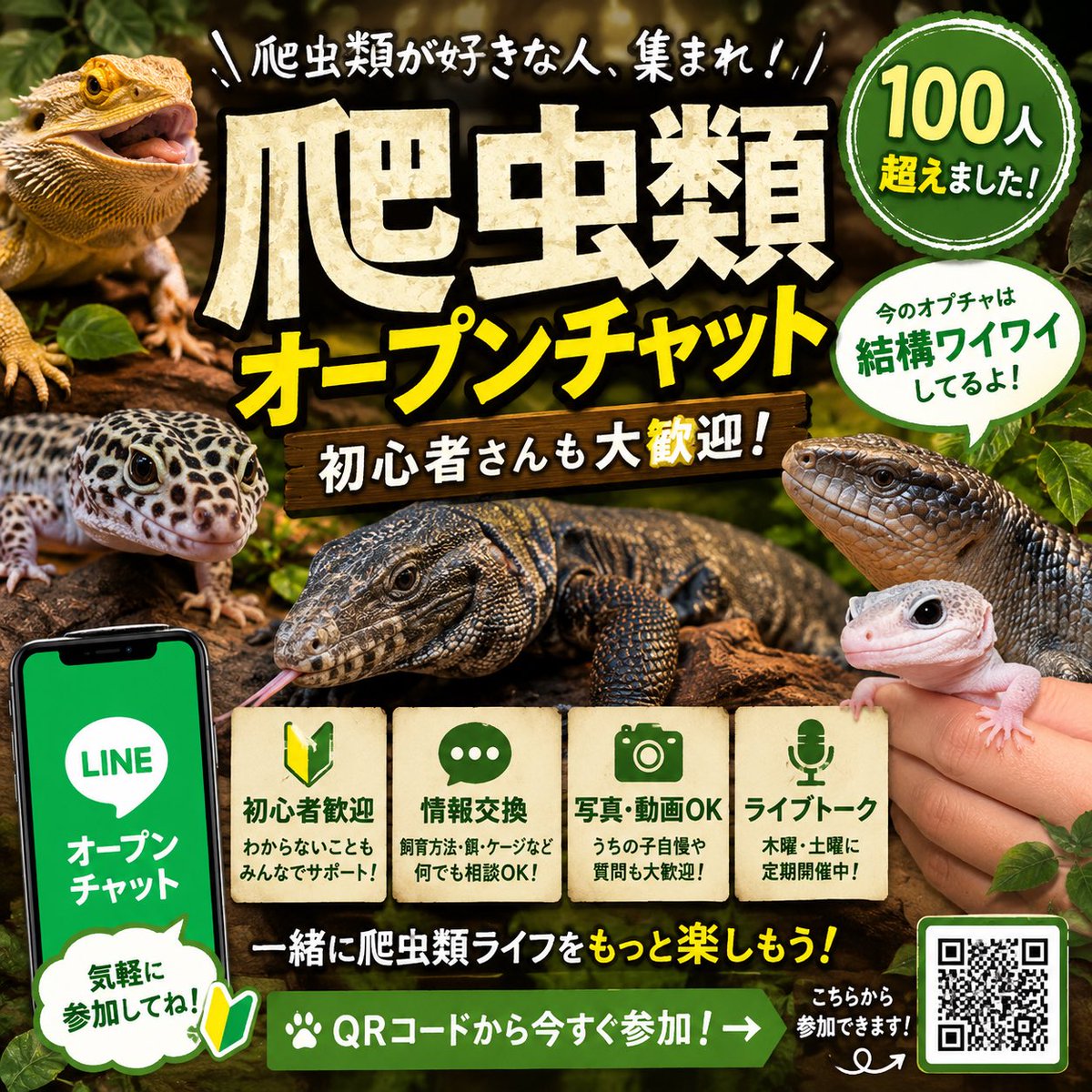 Mr00517819's tweet photo. 🦎爬虫類好きさん、はちゅレプにぜひ！

初心者さんも大歓迎✨
飼育相談・写真や動画共有・雑談など、気軽に楽しめます！
「ちょっと気になる」だけでもOK🙆‍♂️
爬虫類好きなら、ぜひ一緒に楽しみましょう🐍

写真は参加して頂いてる方から提供させてもらいました📸
#はちゅレプ #爬虫類 https://t.co/3Pxywmz4n4