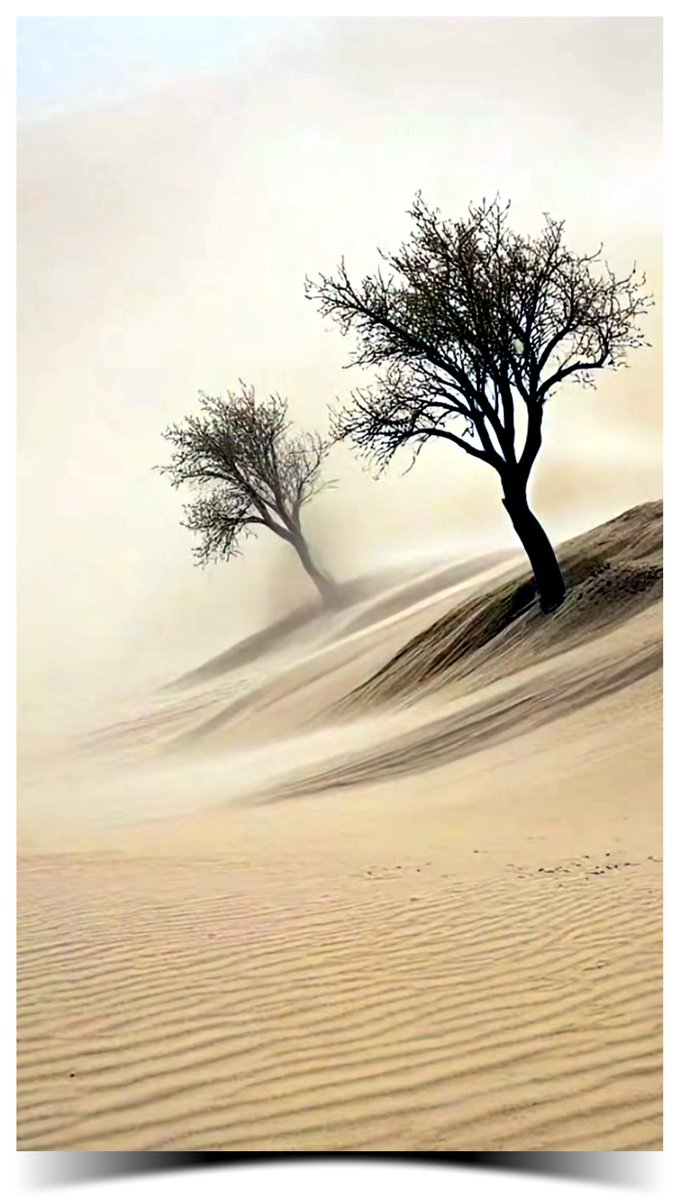 Alatawi05000's tweet photo. لعنبوها حاجةٍ ترخصك وأنت محسوب 
في عيون القوم ويطيح  قدرك  عنـدها 
كبها .. لو هي ثمينة .. وعرضها  للهبوب 
وانسها .. لا رحم ابوها  على أبو  جدها
#بوح_المشاعرㅤ
#عزة_النفس 
#مساء_الخير_والسعادة https://t.co/1f9P4vg04R