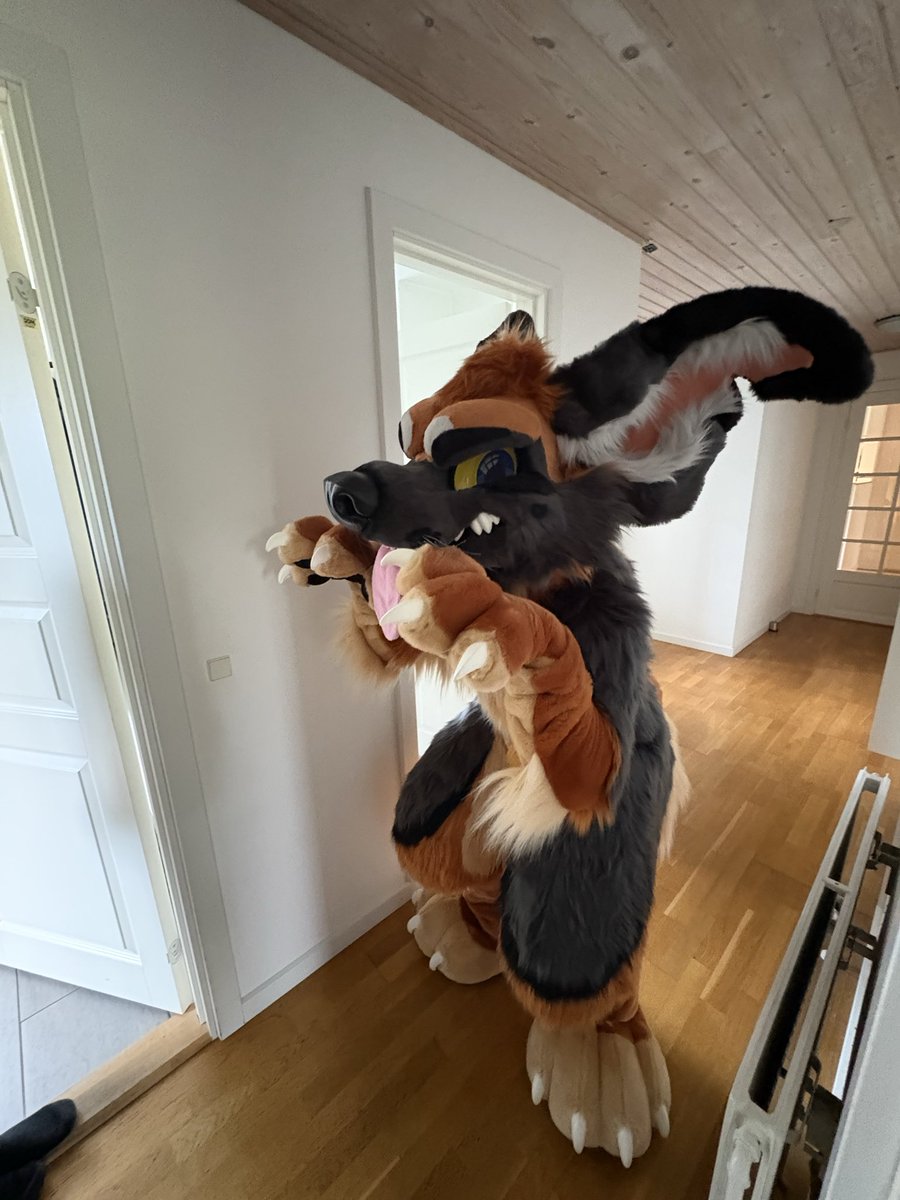 Flip_gshep's tweet photo. #fursuit #furry #fursona https://t.co/8OADydMCAD