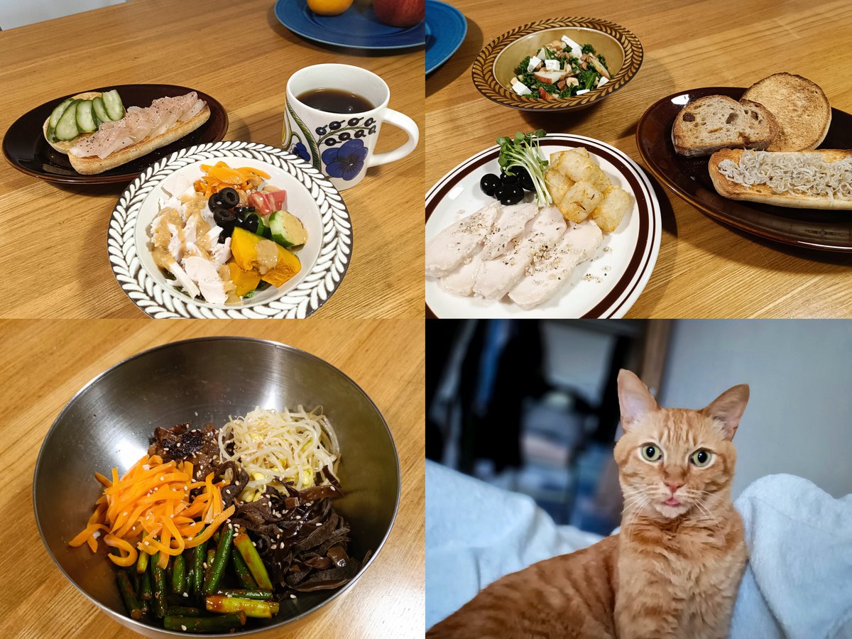 mugi27928130's tweet photo. 今日の食事記録
•トータルカロリー/1897.6kcal
•タンパク質/79.3g

夕飯のビビンバ美味しくておかわりしてしまった！
＃食事記録 https://t.co/Xfu56Pxaoy