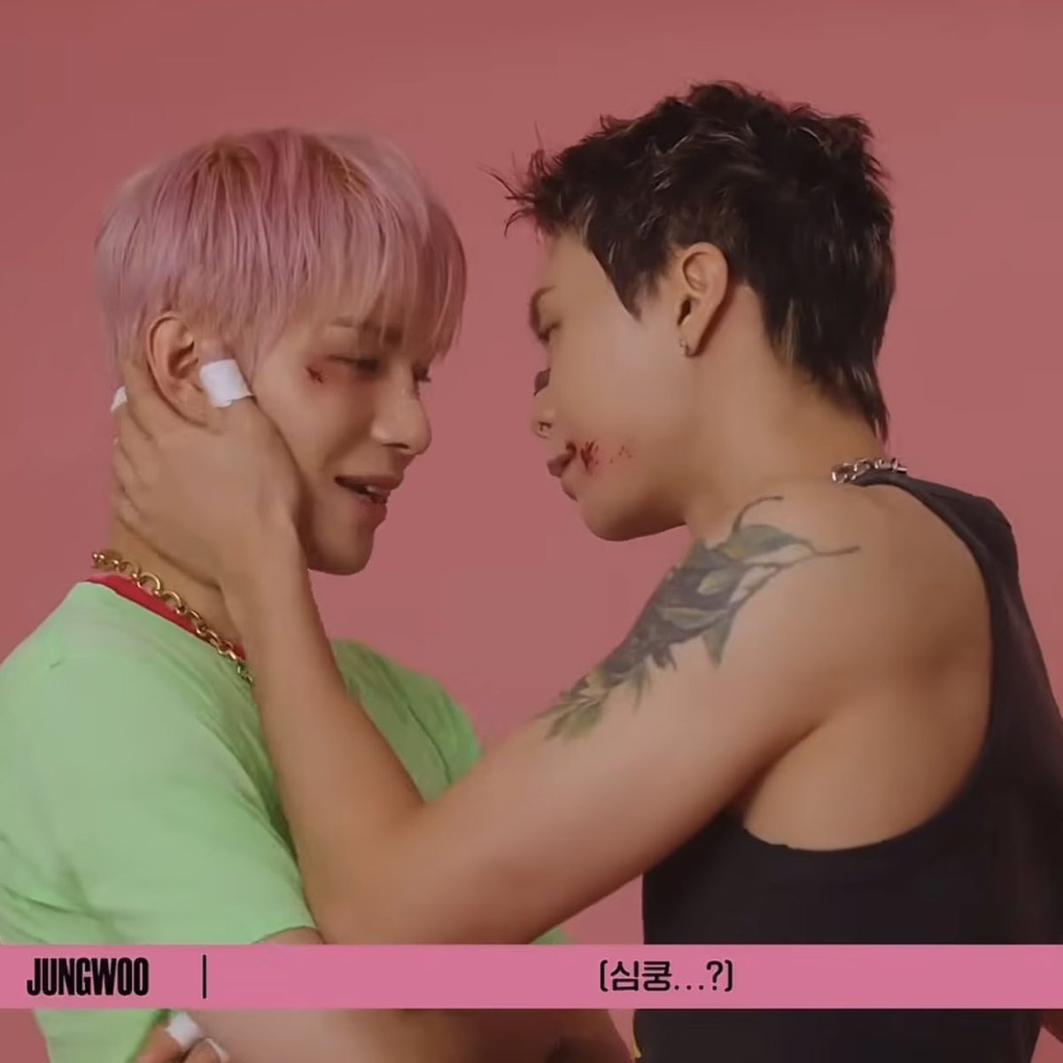 H0TCH0C0_'s tweet photo. 어떤 견 눈 한번도 못 마주치는거 2년째 웃김 https://t.co/BUxQNqcZFA