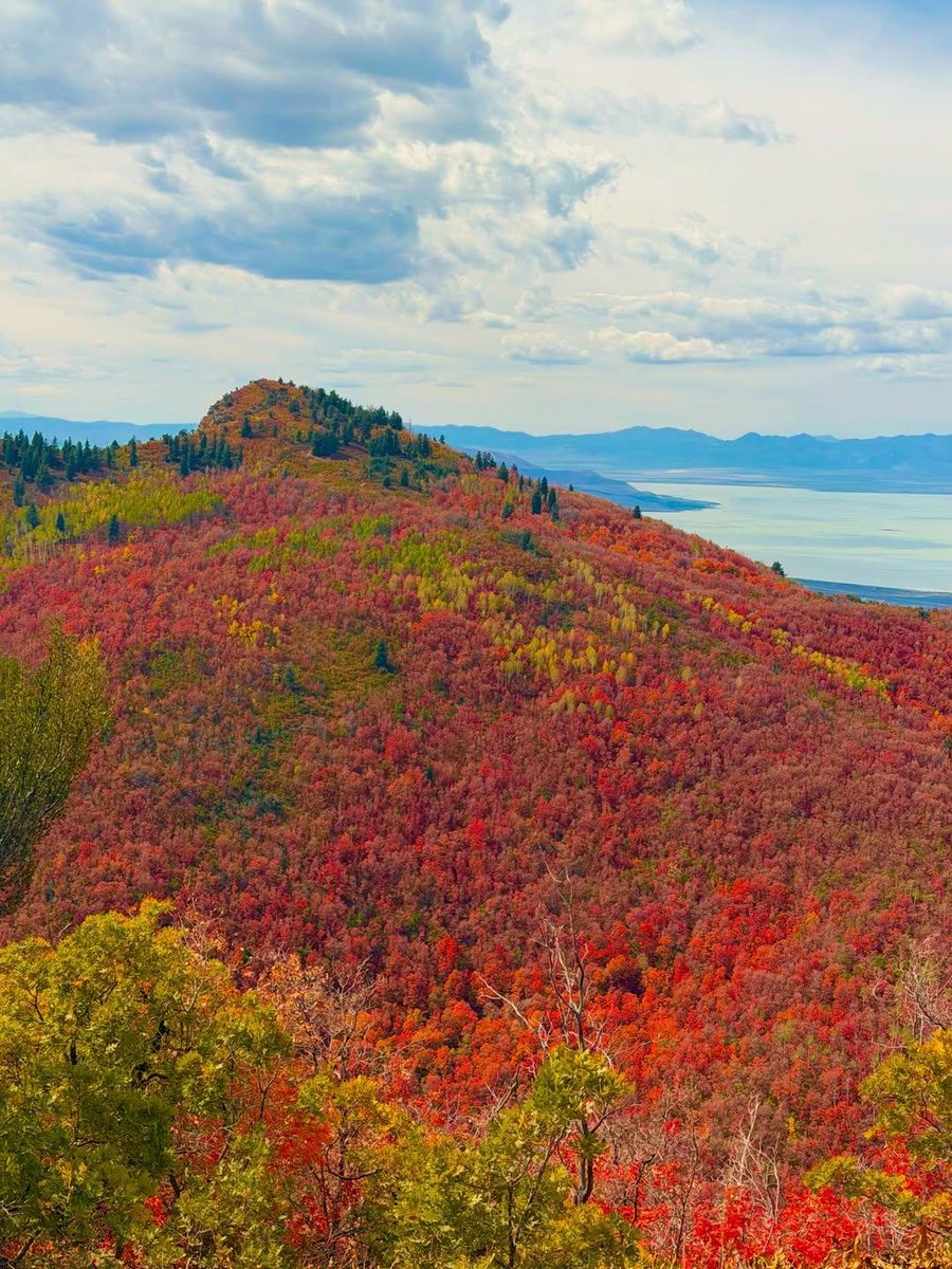naturebeauty760's tweet photo. Buffalo Peak Trail, Utah 🇺🇸 https://t.co/wCsz6VDycW