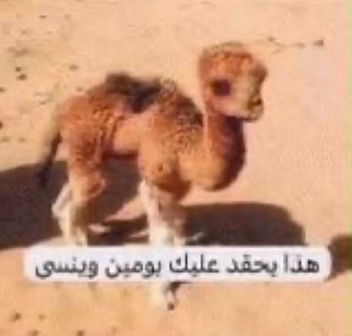 batmanchaan's tweet photo. لي يومين افكر بموضوع ومعصبني بس عجزت اصارح واتكلم https://t.co/qis4Mnw7RY