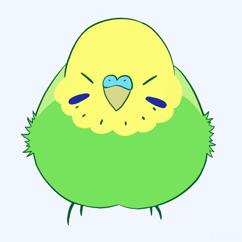 chantarapuu's tweet photo. もっちりもふもふ
#セキセイインコ #イラスト https://t.co/tCNCPBLhY2