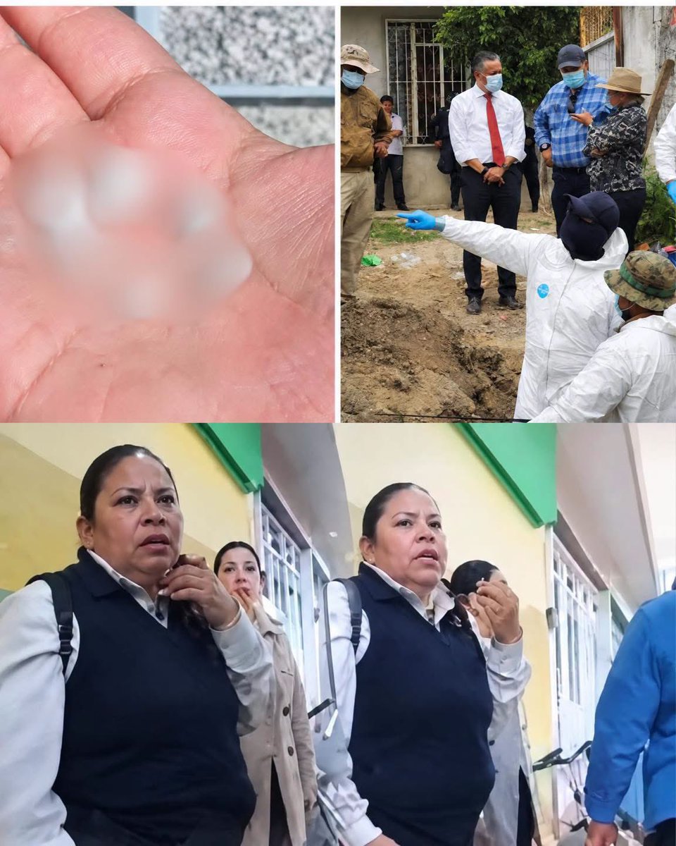 VigiaCiudadano7's tweet photo. EN 2019, ELLA ASEGURÓ HABER VISTO ALGO TERRIBLE 

Hace años, un video comenzó a circular por todas partes. En él aparecía una mujer completamente alterada, llorando y gritando mientras repetía que había visto un camión donde, según sus palabras, había
 “perso*+•••++==nitas” en el interior.

La escena impactó a miles de personas. Su desesperación era tal que algunos intentaron acercarse para tranquilizarla, pero nadie parecía entender exactamente qué había ocurrido

Después surgieron diferentes versiones sobre su historia. Una de ellas afirmaba que la mujer había sido as3*=•••=*=s!n4*=••••da por lo que supuestamente había visto, aunque esa versión jamás fue confirmada

Ahora, en 2026, un reporte sobre el hallazgo de alrededor de 1,600 die*+••==*+ntes de leche en Zacapu, Michoacán, volvió a hacer que aquel antiguo video apareciera nuevamente en redes

Miles de usuarios comenzaron a recordar las palabras de aquella mujer y a relacionarlas con el reciente hallazgo

Una historia de hace siete años que, por una extraña coincidencia, volvió a generar preguntas y teorías en internet