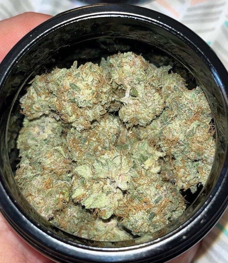 MaconhanoX's tweet photo. Cardápio📋👇
https://t.co/SnBZvJrdEw

PRENSADO
CAPULHO
GOLD
SKANK
COGUMELOS
DRY
HAX
ICE
COMPRA MACONHA 
MACONHA EM RECIFE
À VENDA

#delivery #riodejaneiro #maconha #skank #SãoGonçalo #colombiagold #DuquedeCaxias #NovaIguaçu #cremas #ice #fullmelt #cremas #crumble #flor https://t.co/wQirnwGvBa