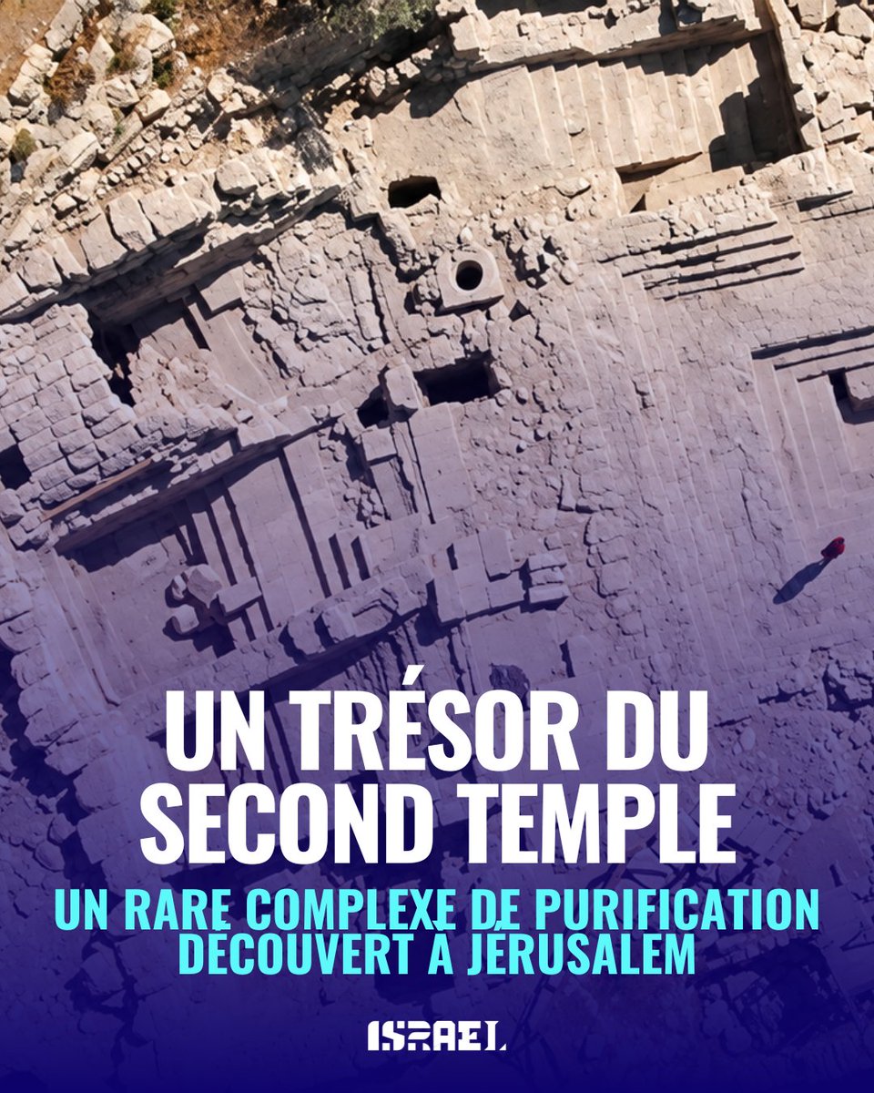 IsraelenFR's tweet photo. À Jérusalem, une découverte exceptionnelle éclaire la vie des pèlerins à l’époque du Second Temple.

Un vaste complexe de purification comprenant trois bains rituels et un bassin monumental a été mis au jour au pied du mont du Temple. Il aurait servi aux pèlerins juifs avant leur entrée dans le Temple.

Une nouvelle fenêtre ouverte sur Jérusalem il y a près de 2 000 ans.

@ynetnews