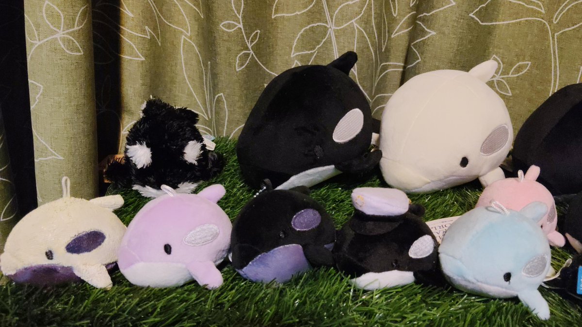 sumaseamania's tweet photo. スマシーのUFOキャッチャーのぬいぐるみコンプリート
すでにシャチのぬいぐるみは100体を超えた https://t.co/AZ2CdrTSgf