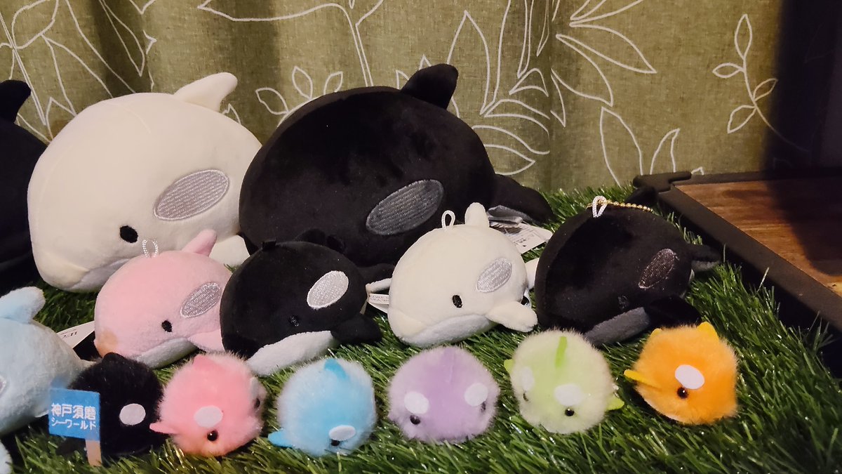 sumaseamania's tweet photo. スマシーのUFOキャッチャーのぬいぐるみコンプリート
すでにシャチのぬいぐるみは100体を超えた https://t.co/AZ2CdrTSgf
