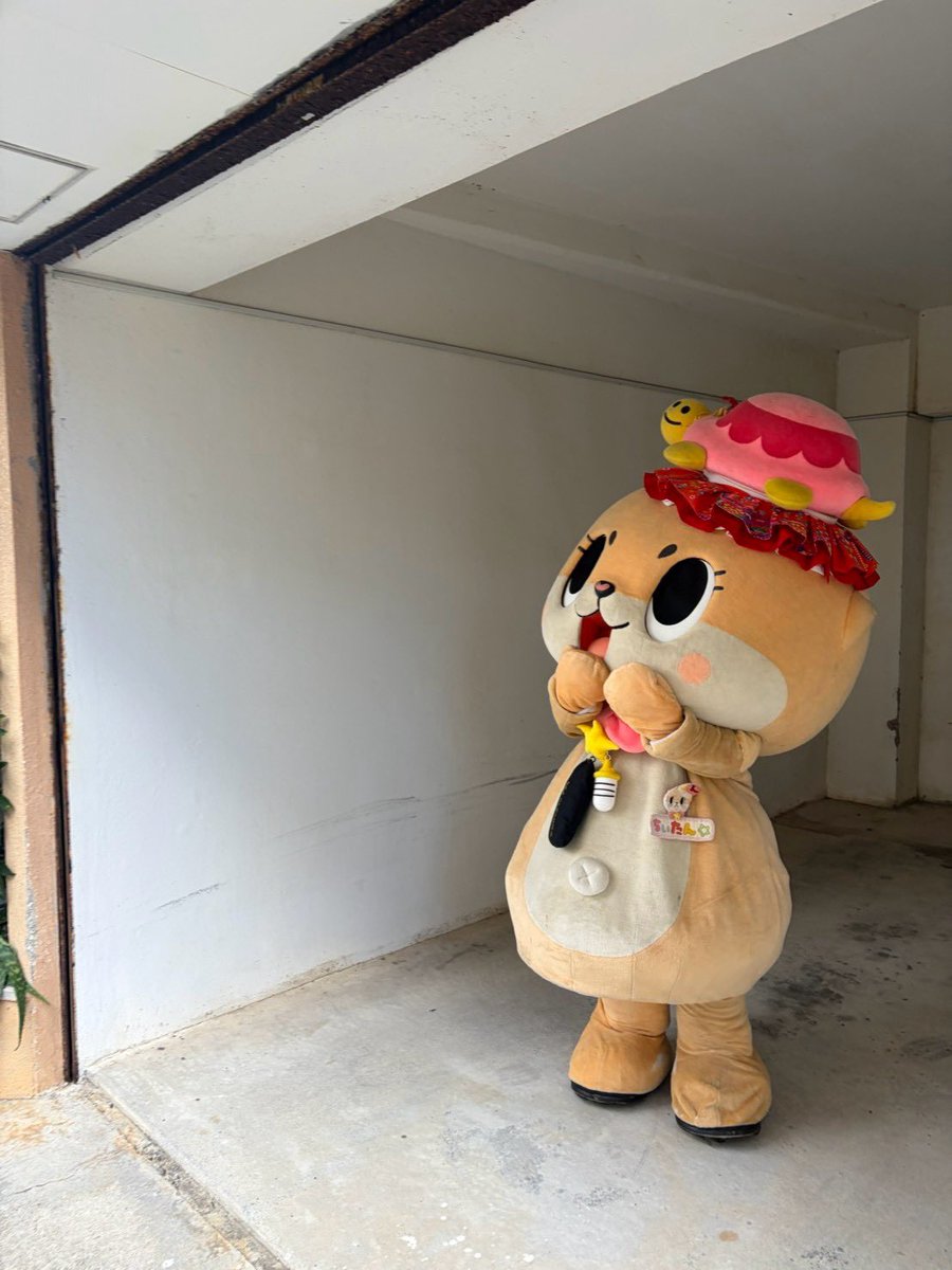 Chiitan_Okinawa's tweet photo. 台風の大きな影響もなく、ひと安心😌
お天気も回復して、ちぃたん☆も嬉しそうでした☀️✨

風や波には気をつけて過ごしてね〜🌺 https://t.co/39h2CvfhWM