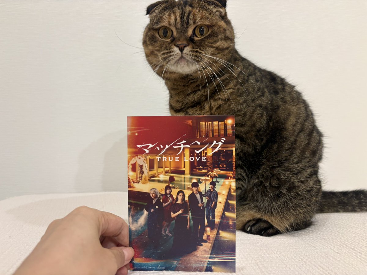 love_me_ai's tweet photo. 『マッチング　TRUE LOVE』を先日観て来た。期待を上回る面白さ！開始しばらく、ニヤニヤが止まらなかったw
コメンタリー上映が早速始まるとの事なので、また愛しい吐夢に会いに行かなくては🤣‼️

#映画マッチング
#���久間大介 https://t.co/AMwUoZmK06