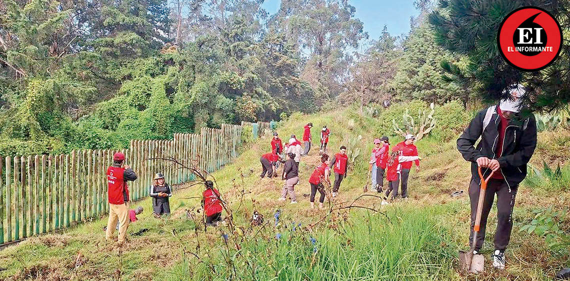ElInformanteMX's tweet photo. @MetepecGobierno cierra jornada de #reforestación con más de 22 mil #árboles plantados
Durante #TresMeses, #familias, #vecinos y #EquiposDeTrabajo participaron en acciones para #ampliar y #fortalecer las #ÁreasVerdes del #municipio.
Tag: @FerFlores_Emp
https://t.co/LdC57llcf3 https://t.co/UWRBJ4Y8VN