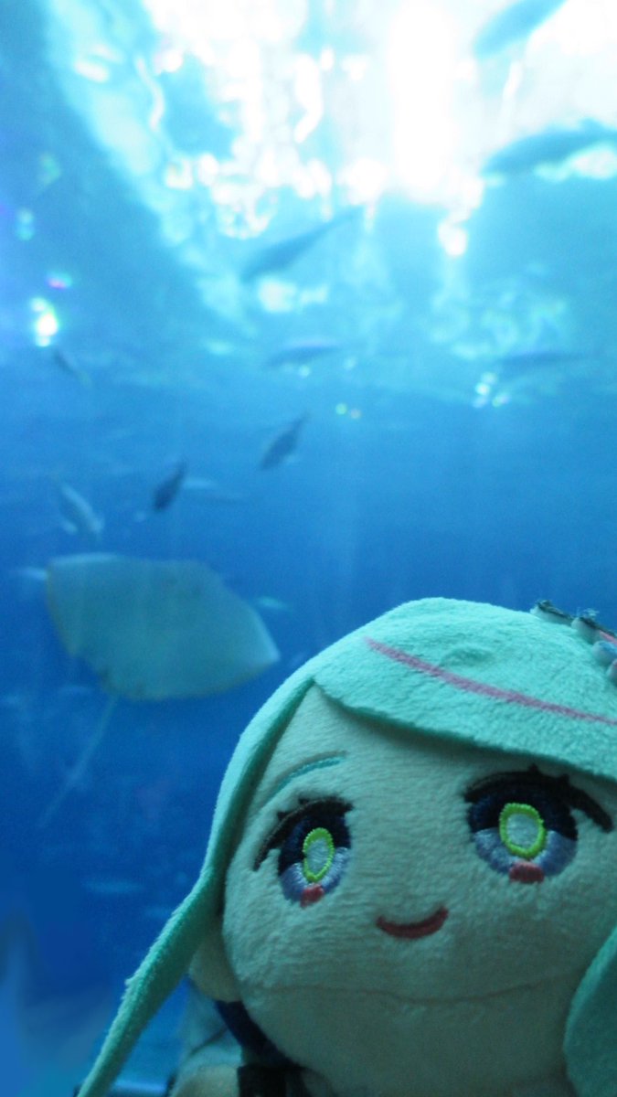 冰夏至的美丽海水族馆之行 · 来源图片