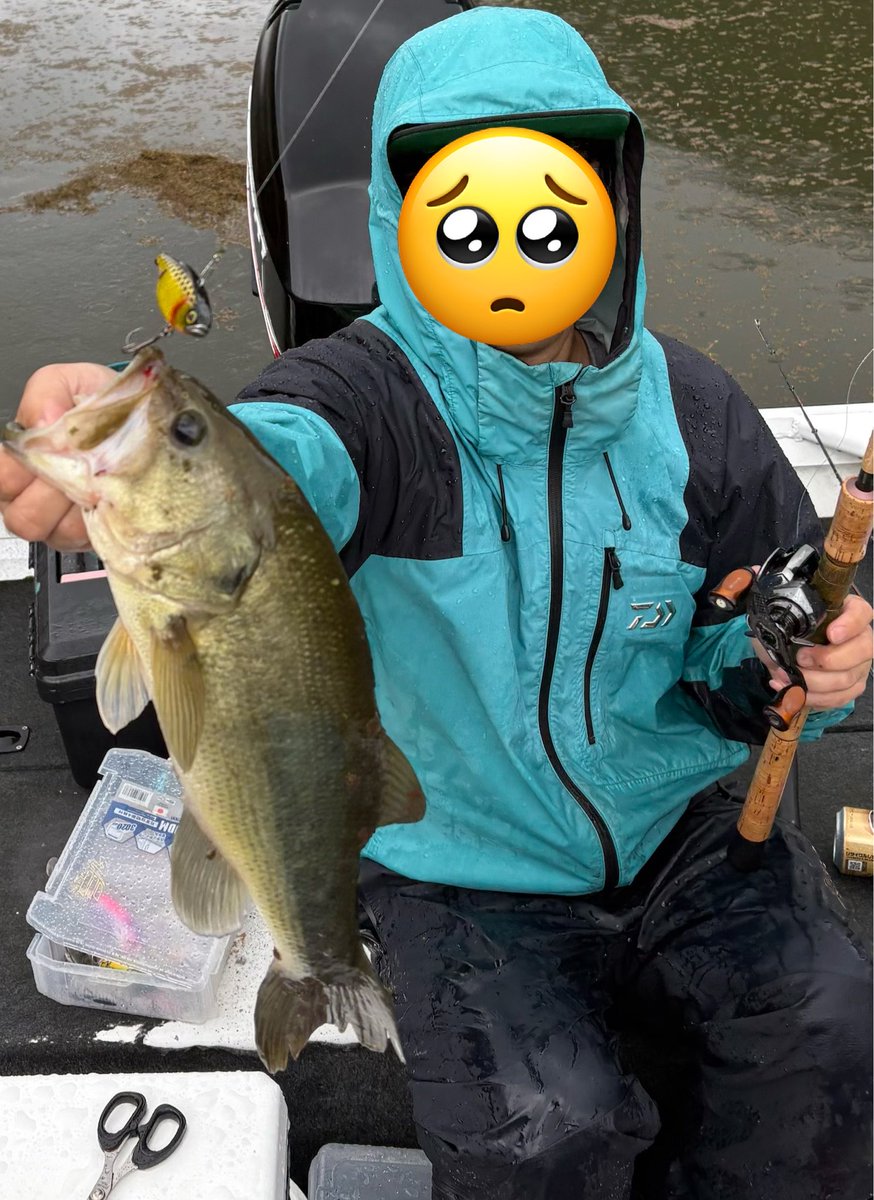 X67460045's tweet photo. 今日はバス釣りへ🚌

TNバイブが爆発して爆裂的に釣れました🐟

ヒットルアーはTN60と70のみ🎣 https://t.co/1iqG3ss4tx