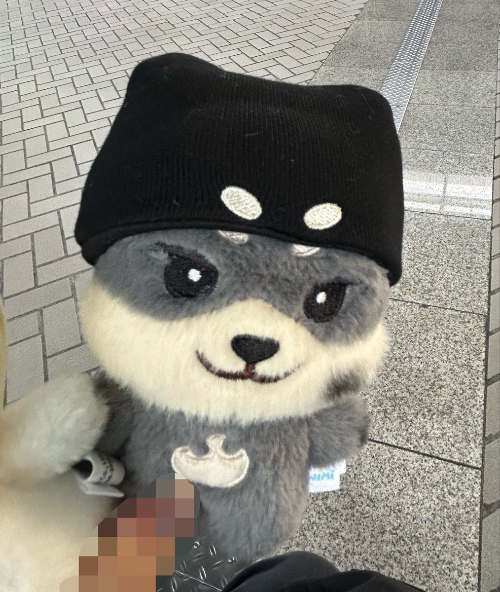 my0srUu's tweet photo. 내 도쥬니는
장원영도쥬니 https://t.co/x5OY18GQIM