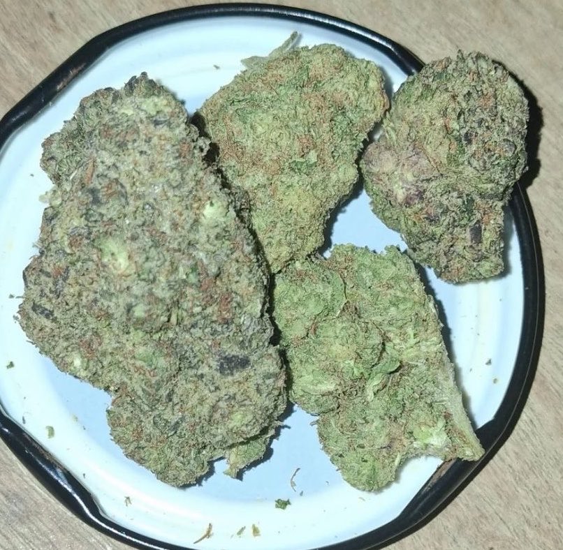 MaconhanoX's tweet photo. Cardápio📋👇
https://t.co/SnBZvJrLu4

PRENSADO
CAPULHO
GOLD
SKANK
COGUMELOS
DRY
HAX
ICE
COMPRA MACONHA 
MACONHA EM BELEM
À VENDA

#delivery #riodejaneiro #maconha #skank #SãoGonçalo #colombiagold #DuquedeCaxias #NovaIguaçu #cremas #ice #fullmelt #cremas #crumble #flor https://t.co/AaNirAfWtO