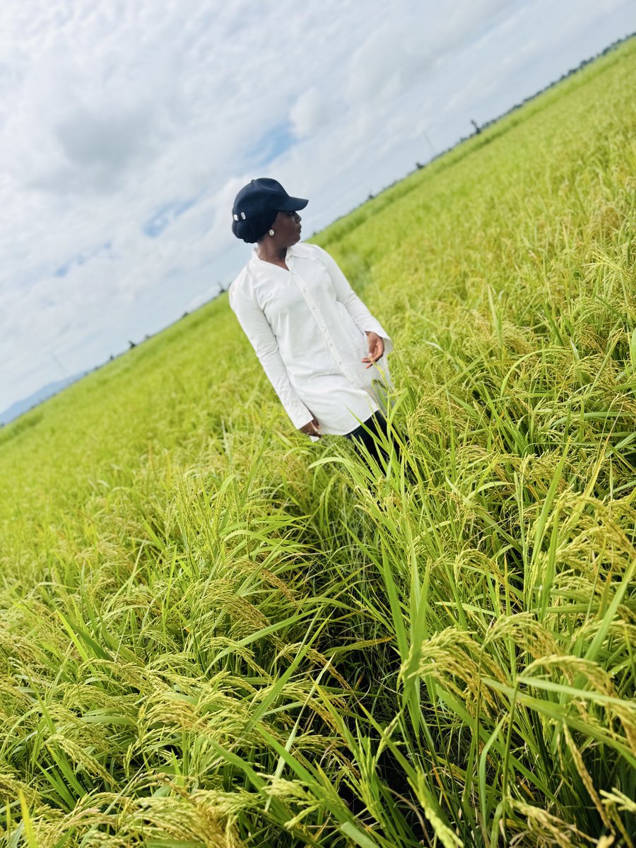 yenyenpurehoney's tweet photo. Soon to be our harvest season Insha Allah 🥰🥰
A farmer and more https://t.co/0VAyAIVndY