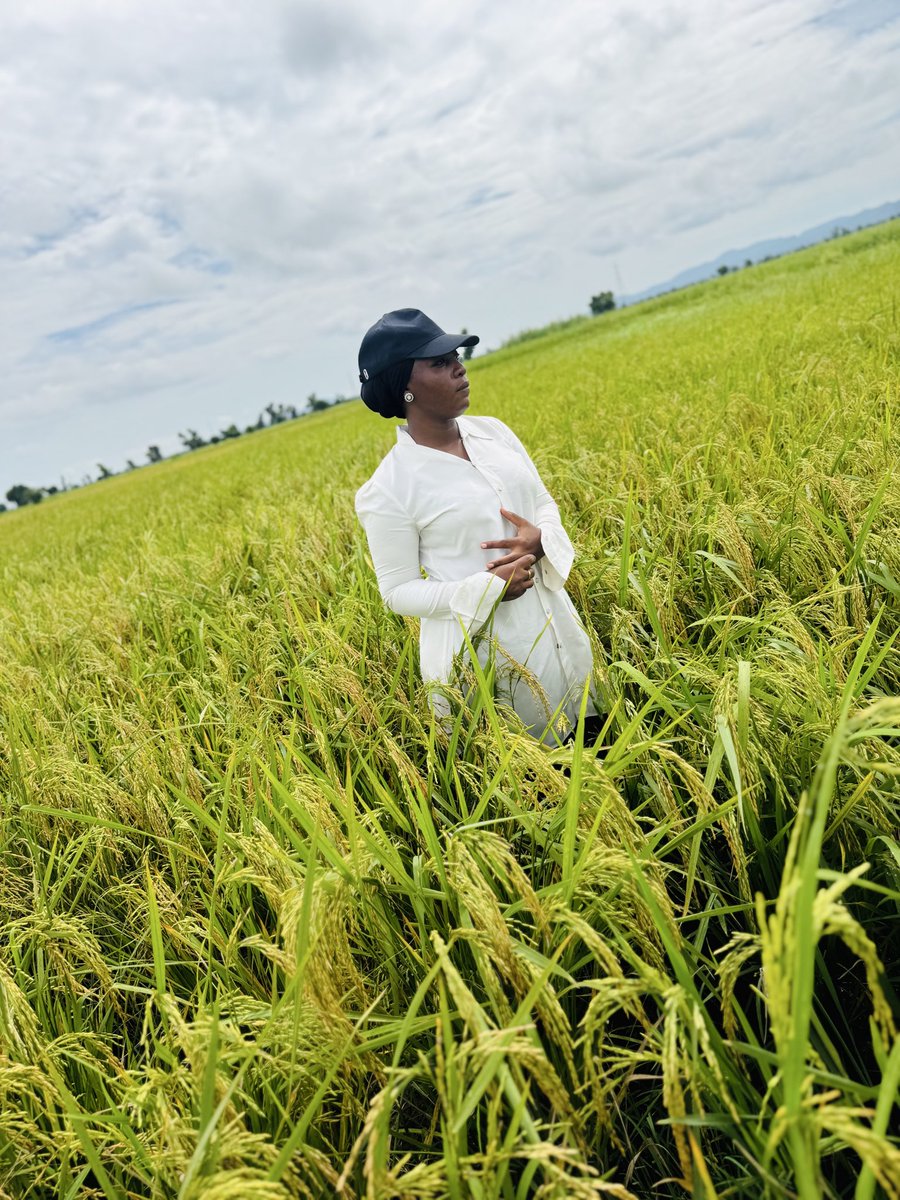 yenyenpurehoney's tweet photo. Soon to be our harvest season Insha Allah 🥰🥰
A farmer and more https://t.co/0VAyAIVndY