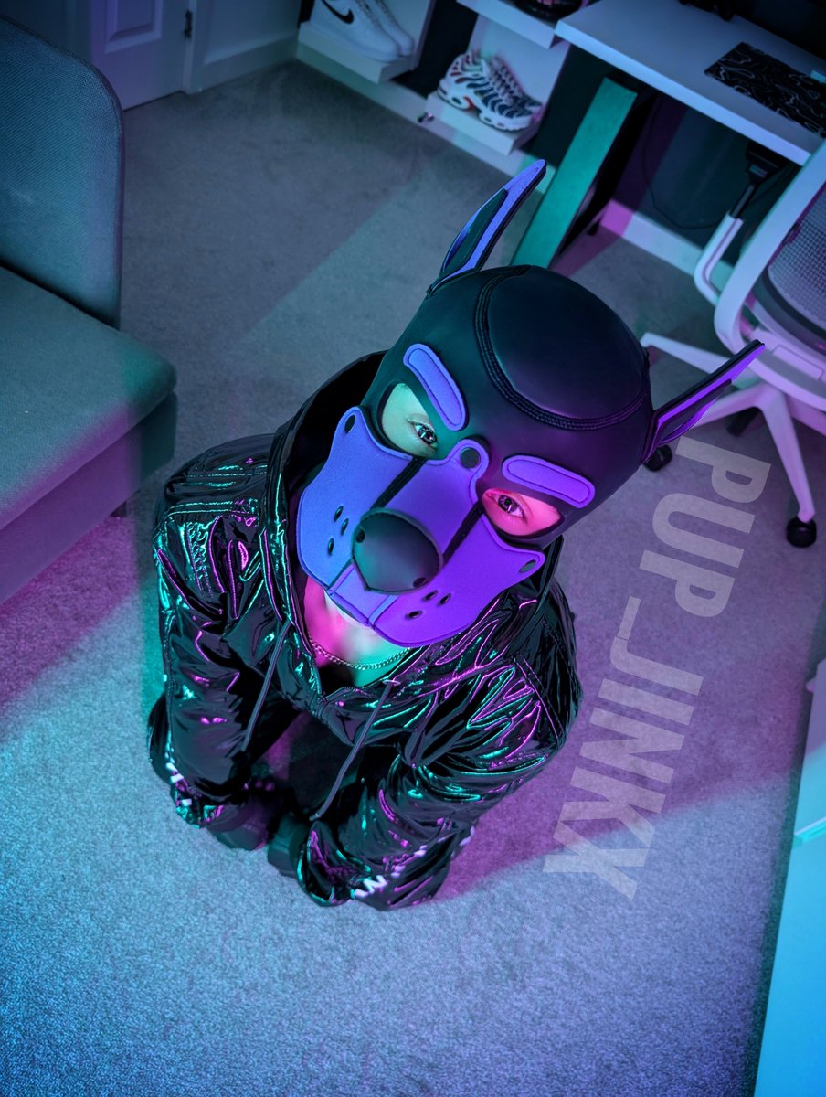 Nairo_Pup's tweet photo. Give @Pup_Jinx_ a follow 😜 there's some cake waiting https://t.co/ShwBRv9lbj