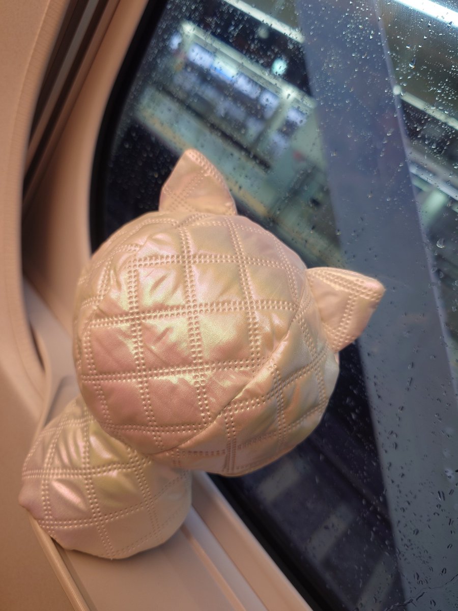 hutch_td's tweet photo. 「ふくおかさん、ばいすわ👋またくるすわね！」

結構雨も降ってたので、予定の新幹線より3時間早めてシュッッと帰ってきました！！
たくさん美味しいの食べたな〜、帰りにサニーパンと三日月のクロワッサンも買ったよ😋 https://t.co/BYRTGWewaC
