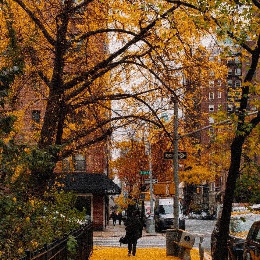earthviewss1's tweet photo. Fall vibes in New York 🇺🇸🍂 https://t.co/L9Y5OD1IYt