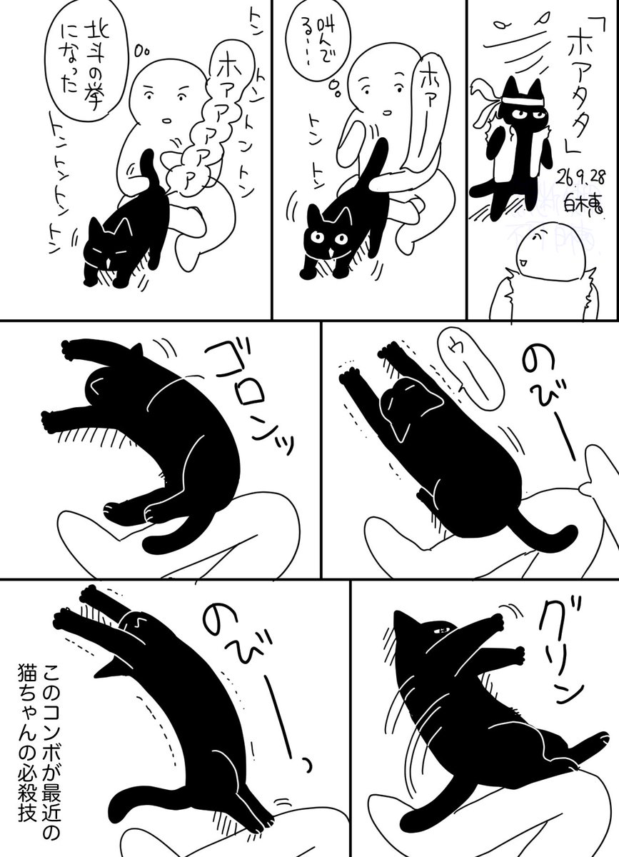 smilecat_uk's tweet photo. 必殺技コンボ
#日記 https://t.co/hNJDLru44e