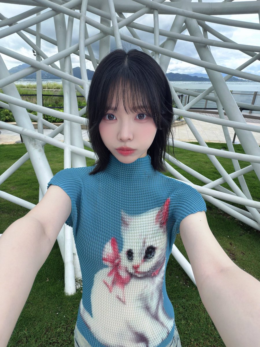 Liyu0109's tweet photo. こんばんは！

深圳の時撮った、お猫ちゃん柄🐈✨🩵 https://t.co/HxlDZMQDna