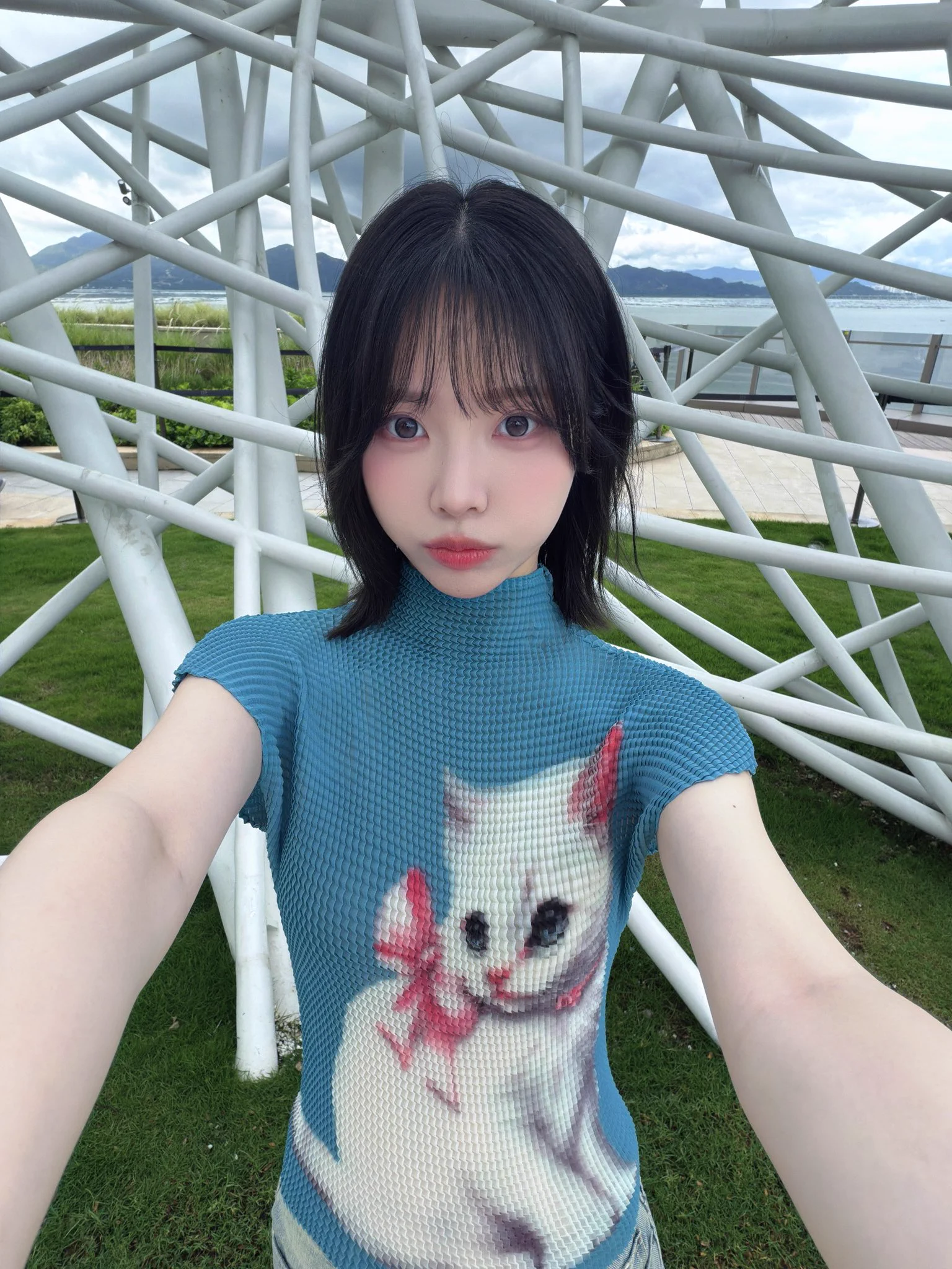 Liyuu (@Liyu0109) / X